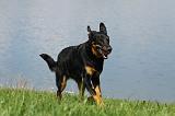 BEAUCERON 617